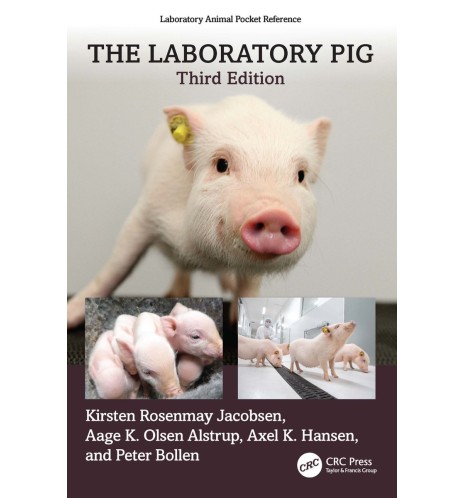 The laboratory pig