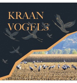 Kraanvogels