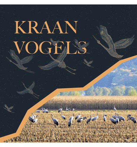 Kraanvogels